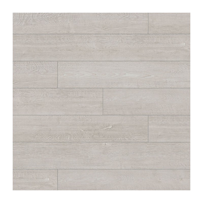 Дуб Атлас К031