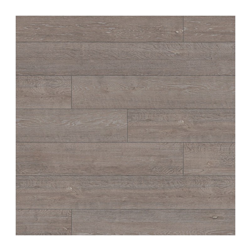 Дуб Сильвер доллар