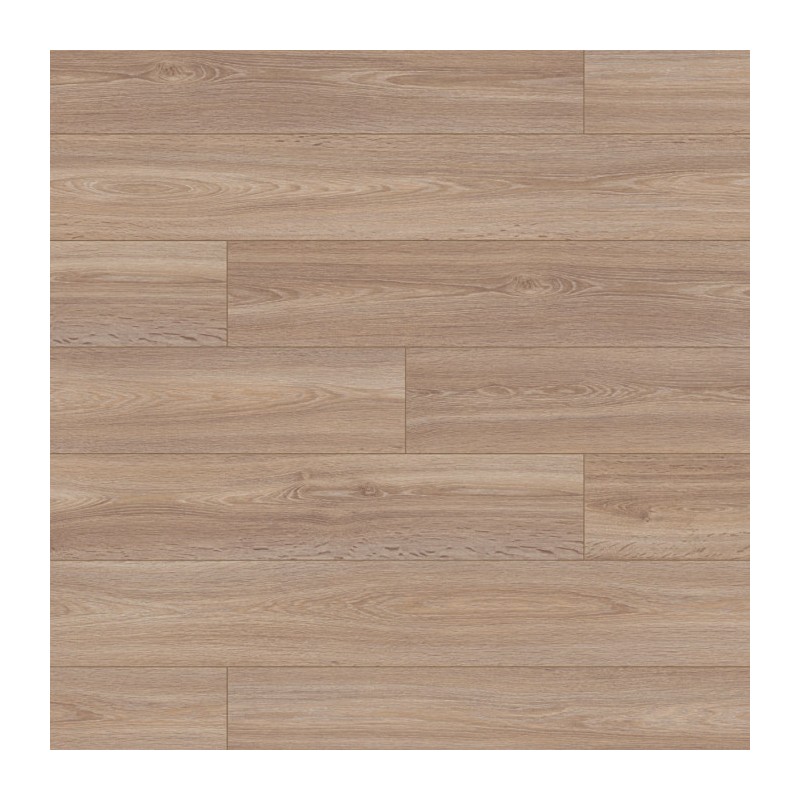 Дуб Пустынный