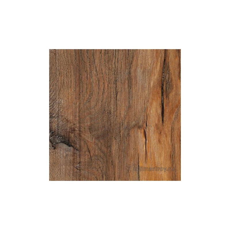 Дуб Огненный