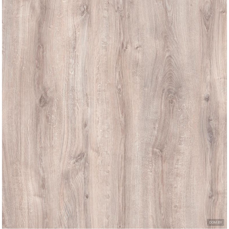 Дуб Лигурия