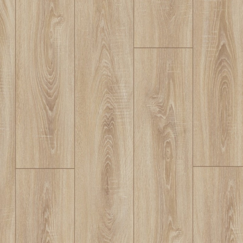 Дуб Деревенский