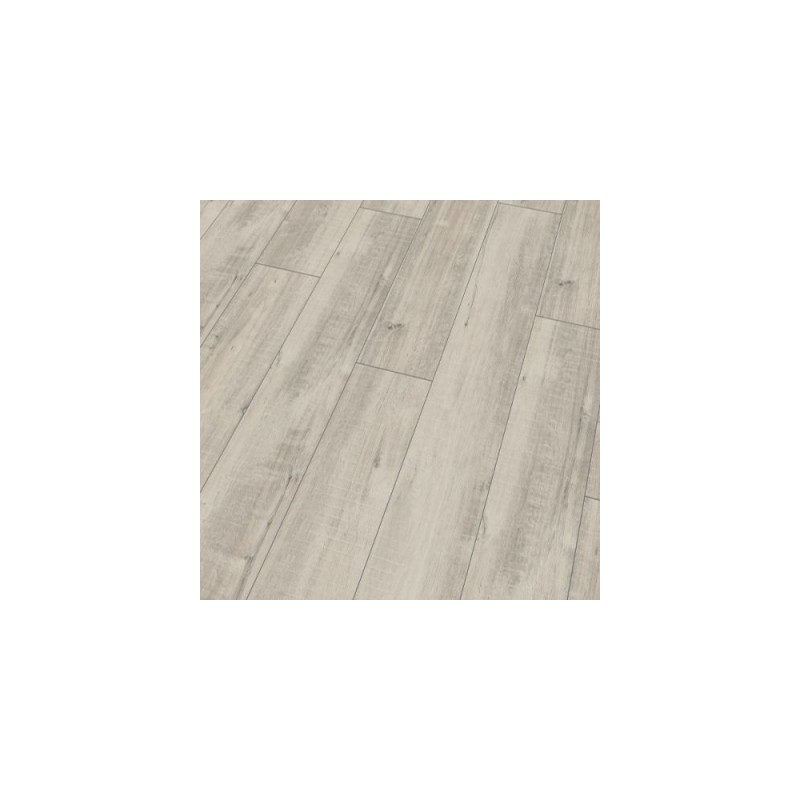 Дуб Гала Белый