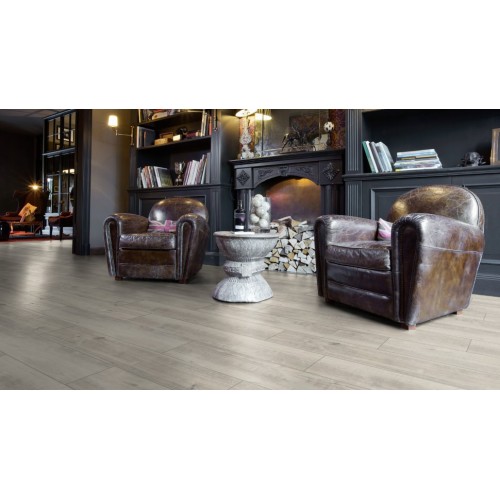 Дуб Гала Белый